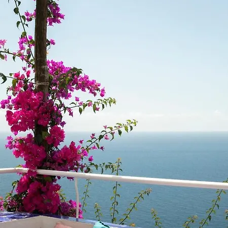 Mediterranea - Homelike *