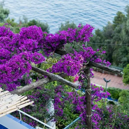 Mediterranea - Homelike Villa *